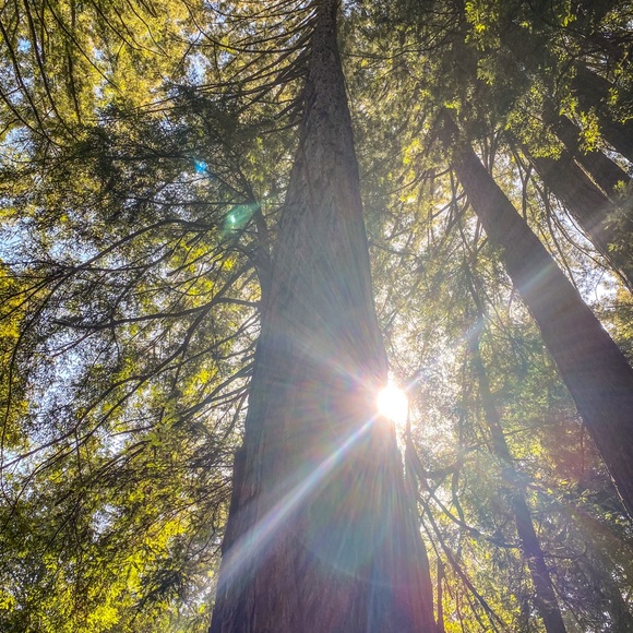 Meet your Posher, Lori - Picture 5 of 6